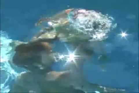 Magnificent underwater threesome and cum slurping Free Porn Videos | ePornHot.